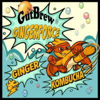 GingerForce